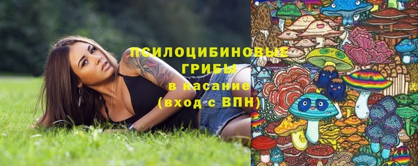 a pvp Алзамай
