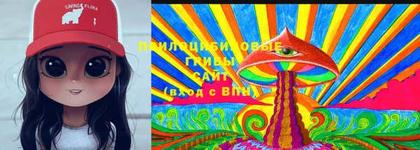 ГАЛЛЮЦИНОГЕННЫЕ ГРИБЫ Алексеевка