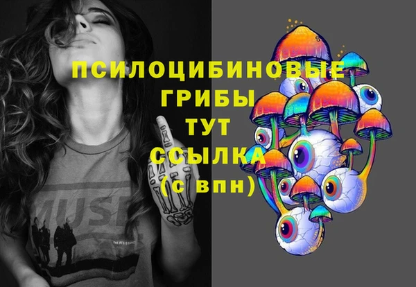 a pvp Алзамай