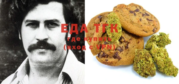 стаф Алексин