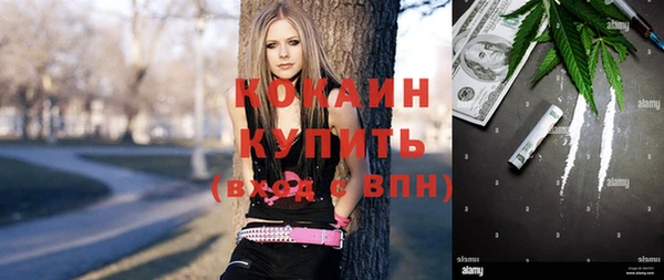a pvp Алзамай